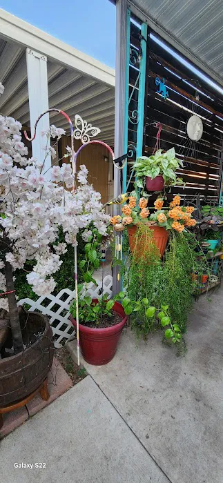 Anacapa Mobile Home Park Picture 6