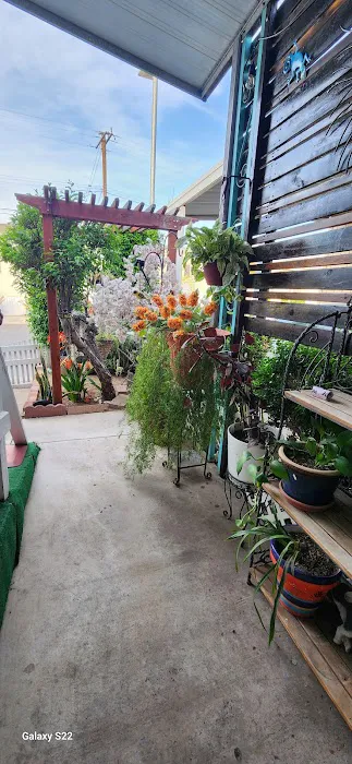 Anacapa Mobile Home Park Picture 7