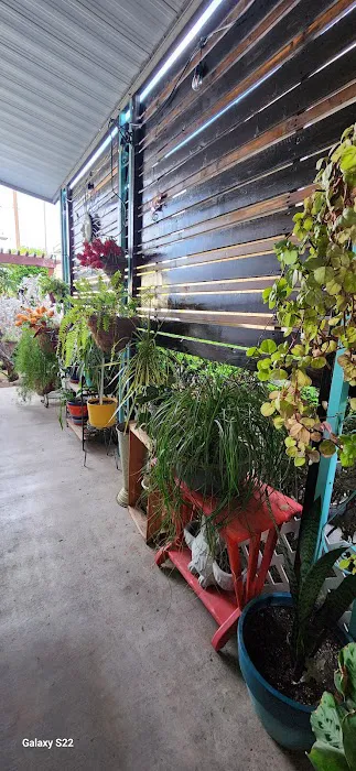 Anacapa Mobile Home Park Picture 8
