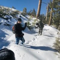 Jackson Flat Group Campground ico
