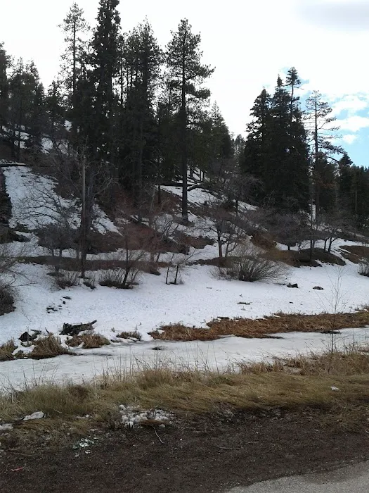 Lake Campground Picture 5