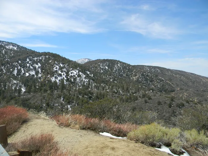 Lake Campground Picture 8