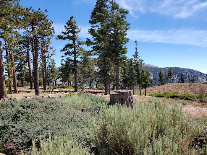 Guffy Campground Picture 4