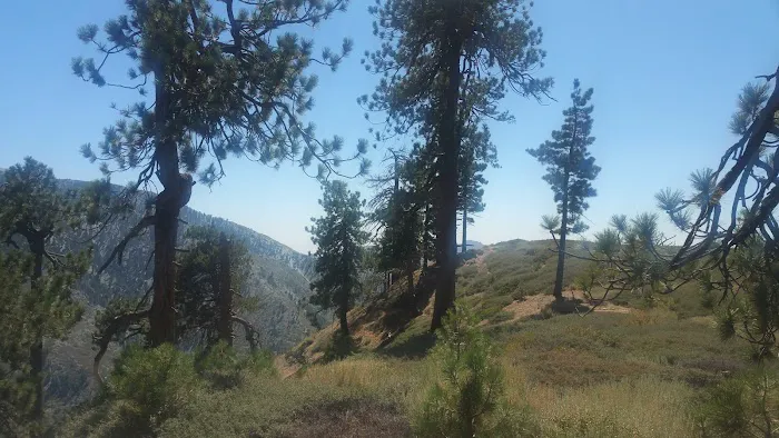 Guffy Campground Picture 8