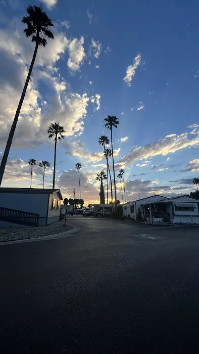 Royal Palms Mobile Home Park Picture 3