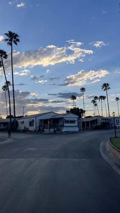 Royal Palms Mobile Home Park Picture 2