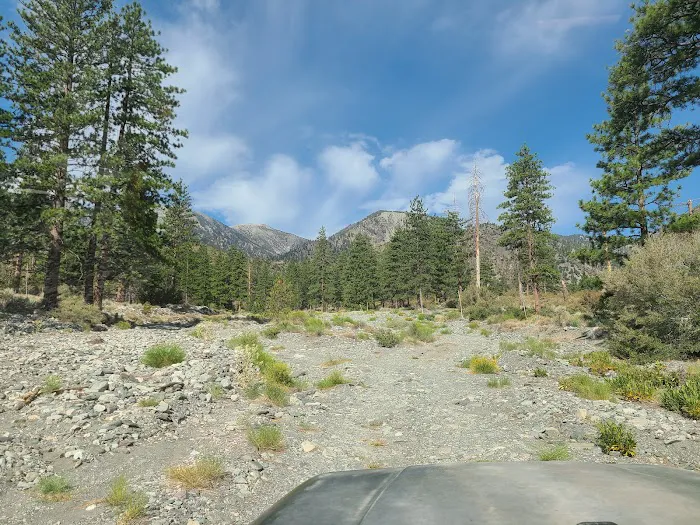 Yellow Post Site 13: Alpine Canyon Picture 1