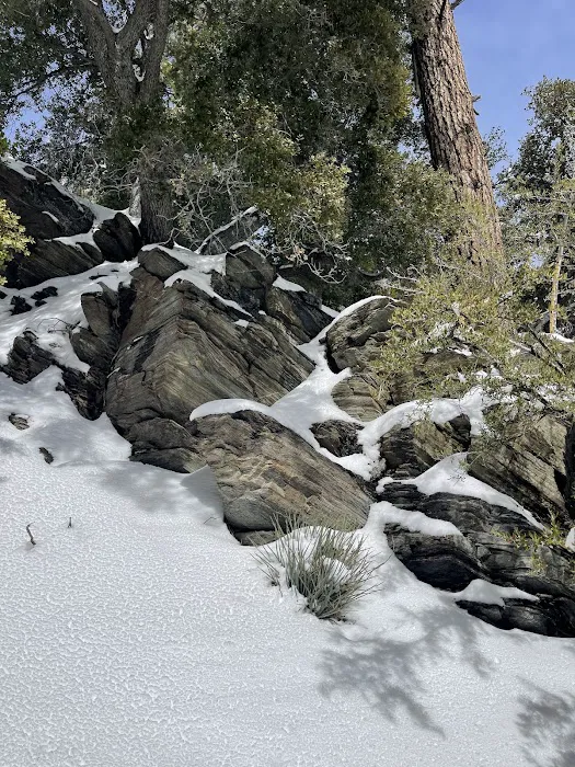 Yellow Post Site 13: Alpine Canyon Picture 3