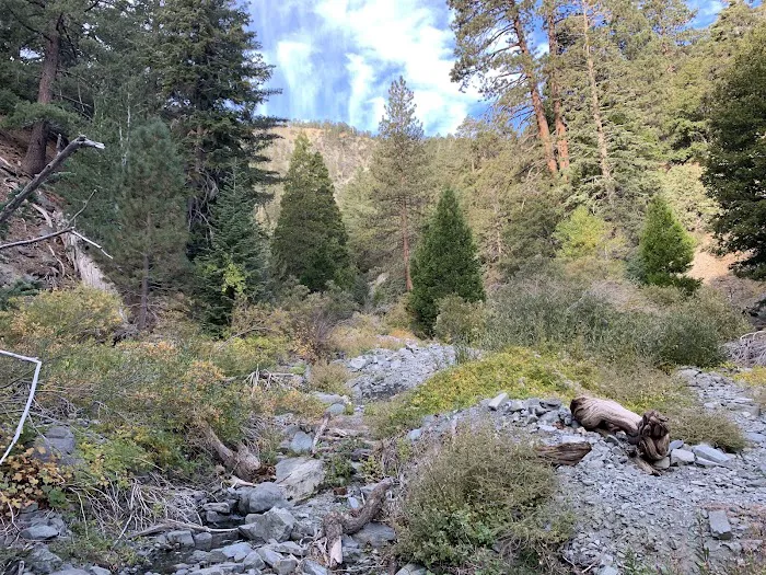 Yellow Post Site 13: Alpine Canyon Picture 4