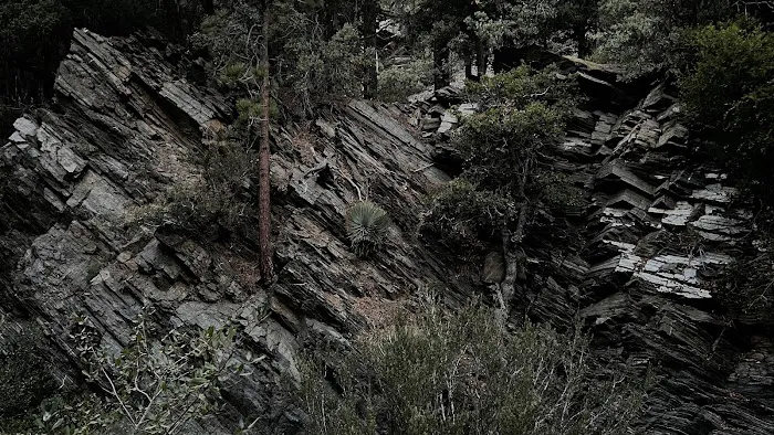 Yellow Post Site 13: Alpine Canyon Picture 9