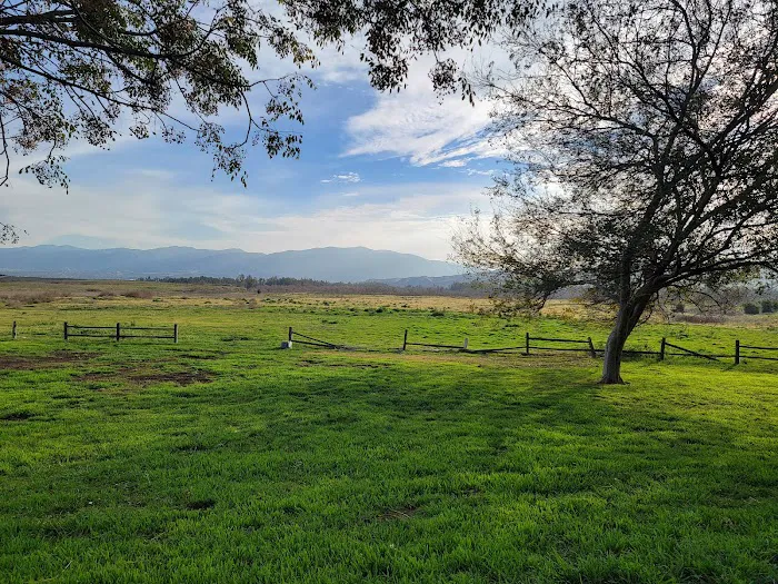 Prado RV Park Picture 7