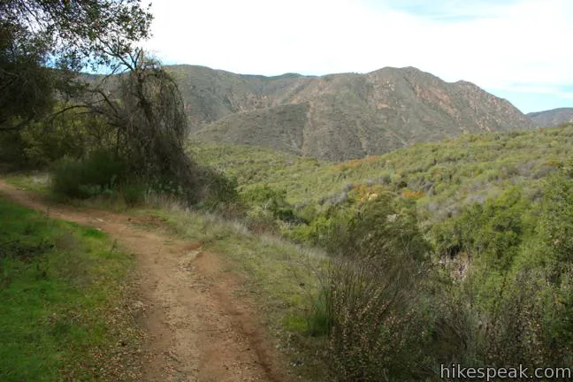 Campground(Mine Shaft) Picture 1