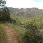 Campground(Mine Shaft)