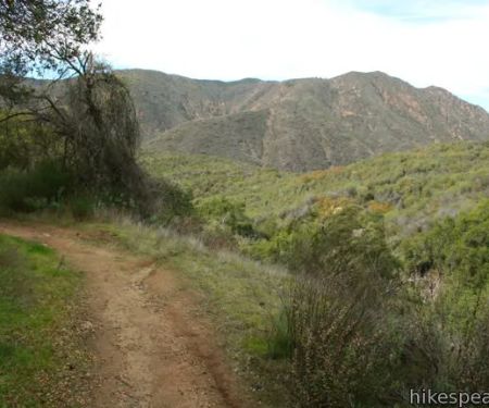 Campground(Mine Shaft)