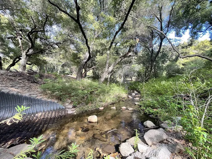 Upper San Juan Campground Picture 1