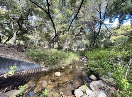 Upper San Juan Campground