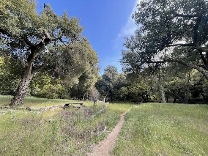 Upper San Juan Campground Picture 2