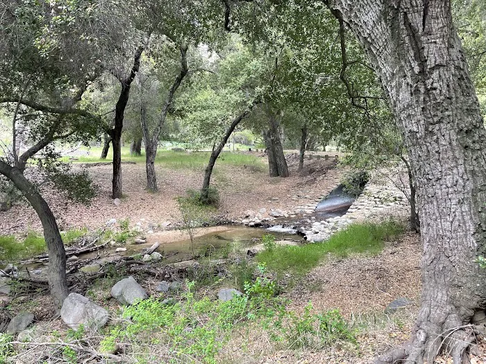 Upper San Juan Campground Picture 3