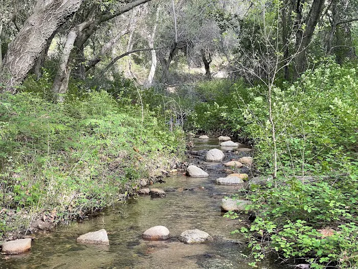 Upper San Juan Campground Picture 6