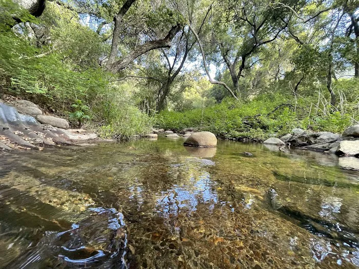Upper San Juan Campground Picture 9