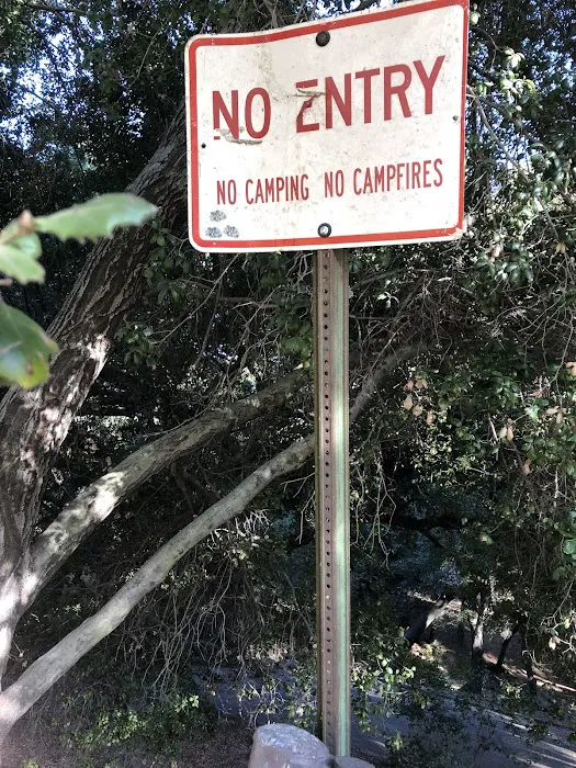 Upper San Juan Campground Picture 10