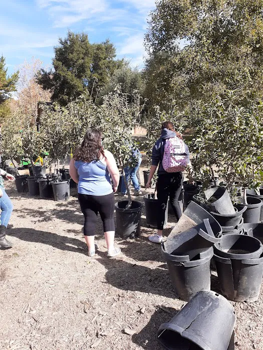 Camp Arnaz Program Center - Girl Scouts of California's Central Coast Picture 9