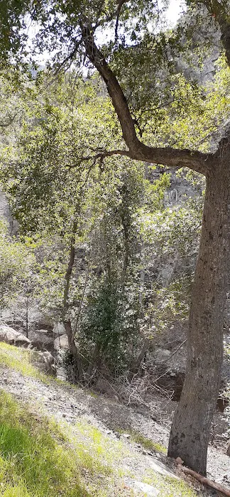 Holiday Group Campground Picture 7