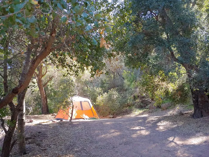 Foster Red Mountain Campground Picture 3