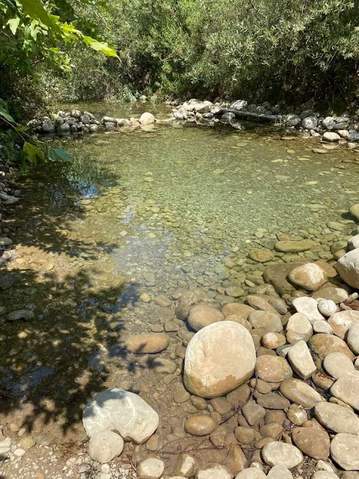 Foster Red Mountain Campground Picture 2