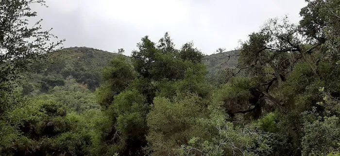 Foster Red Mountain Campground Picture 7