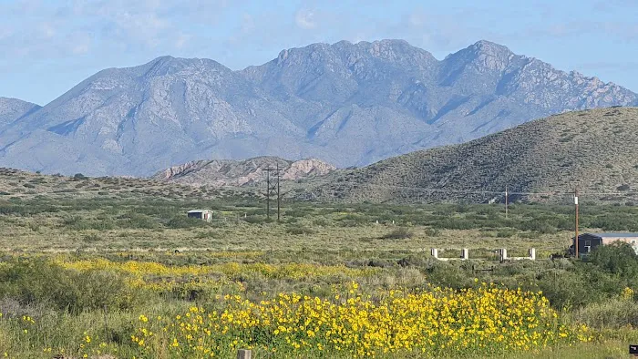 Las Casitas RV Park Picture 8