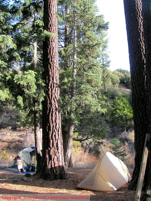Three Mile Campground Picture 1