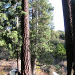 Three Mile Campground