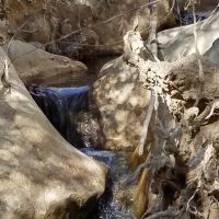 Potrero John Campground ico