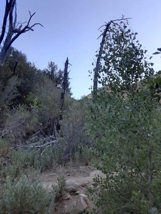 Potrero John Campground Picture 2