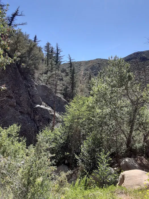 Potrero John Campground Picture 3