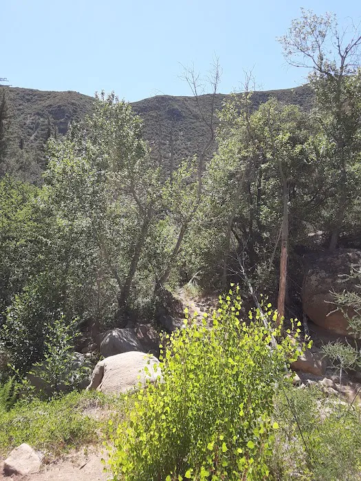 Potrero John Campground Picture 5