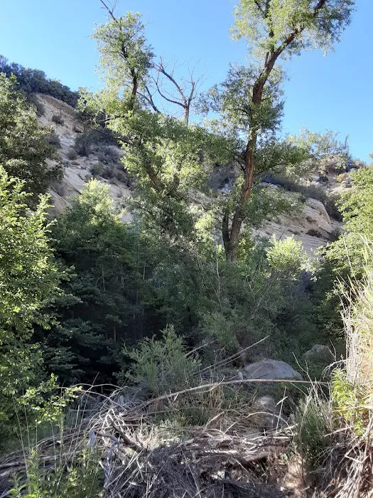 Potrero John Campground Picture 6