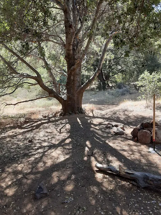 Potrero John Campground Picture 8