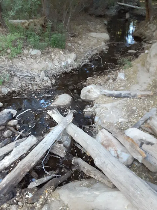 Potrero John Campground Picture 7