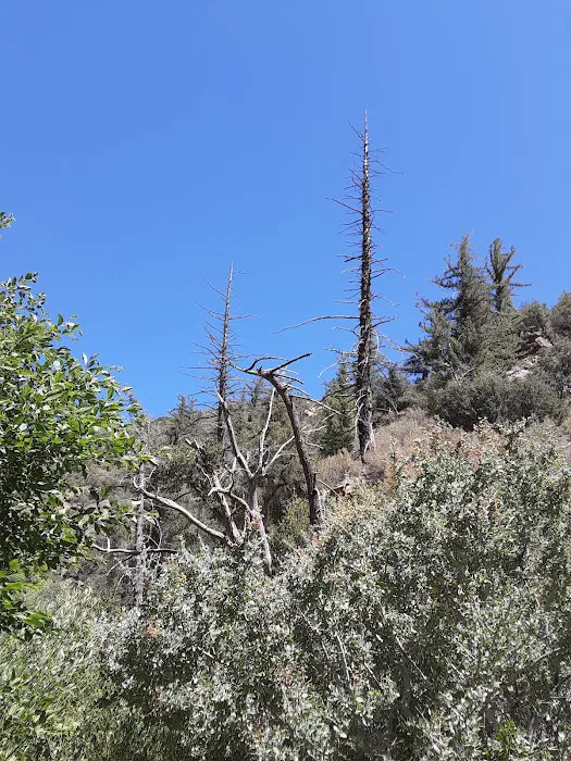 Potrero John Campground Picture 9