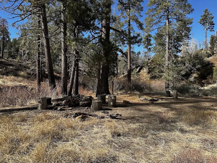 Haddock Campground Picture 2
