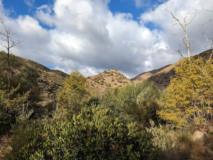 Middle Matilija Campground Picture 2