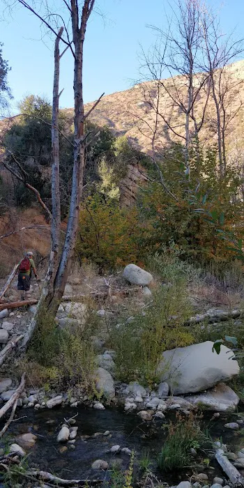 Middle Matilija Campground Picture 6