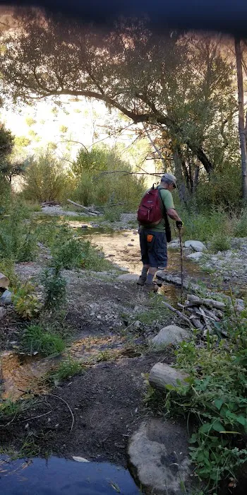 Middle Matilija Campground Picture 10