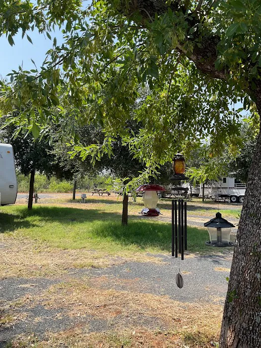 Bella Vita RV Park Picture 7