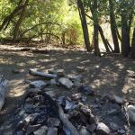 Maple Campground