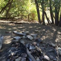 Maple Campground ico