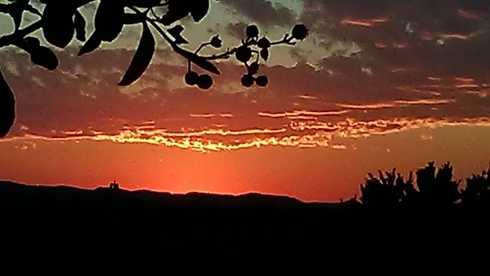 Sunset RV Park Picture 2