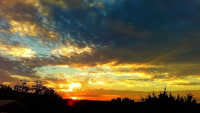 Sunset RV Park Picture 5
